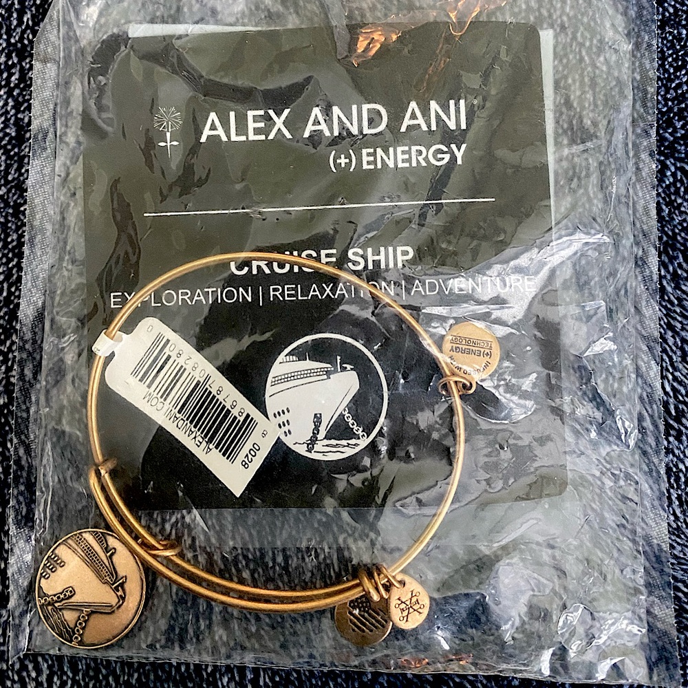 Alex and Ani cruise ship bangle bracelet Bnar
